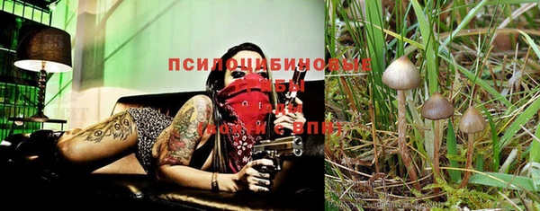 мескалин Бронницы