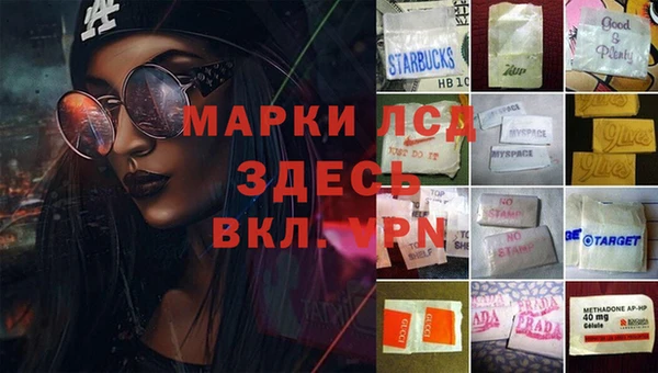 спиды Богданович